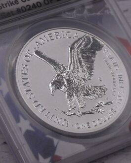 【ANACS鑑定 RP70 最高鑑定】 2021年 アメリカ リバースプルーフ イーグル銀貨 タイプ１＆タイプ２ 新旧2枚セット 米国 Reverse Proof Silver ファーストストライク