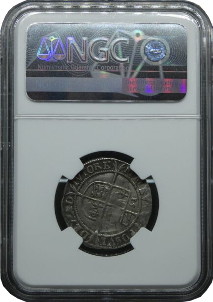 エリザベス一世 6ペンス銀貨 NGC鑑定 1572年 イギリス アンティークコイン 6pence 銀貨 レアコイン 英国 エリザベス女王 イングランド Queen ELIZABETH 鑑定済みコイン England コイン 鑑定 貨幣 通貨 銀貨 現物資産 VF DETAILS - 画像 (3)
