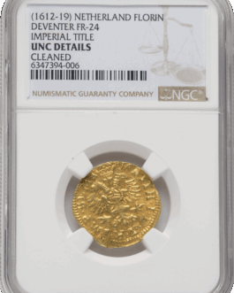 NGC 1612-1619年 オランダ デフェンター市 1ゴルデン金貨